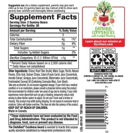 Lil Critters Probióticos 60 Gomitas