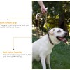 EXCELLENT ELITE SPANKER Dog Lead Nylon Dog Leash for Medium