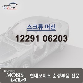 Hyundai Mobis Machine Screw 12291 06203 / 머신 스크류 12291 06203