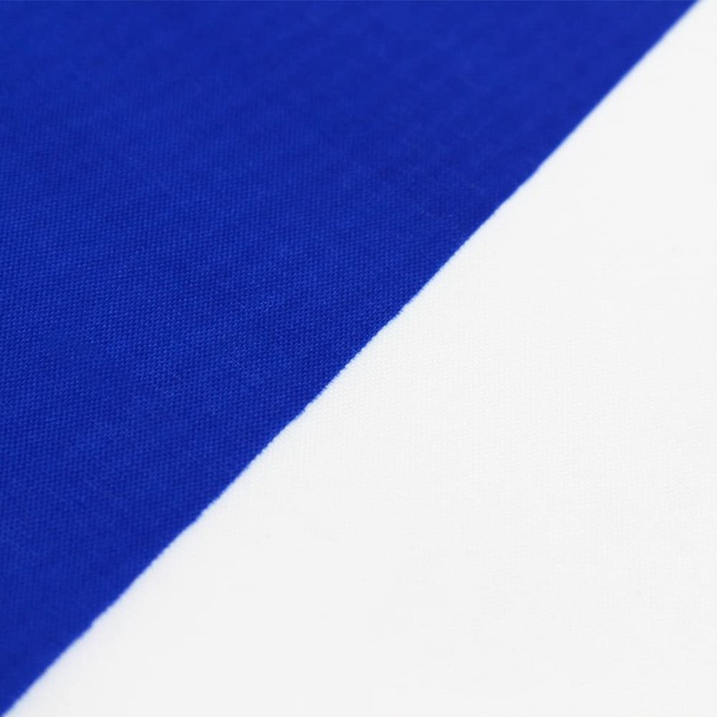 ANJOR Israel Flag 3x5 Foot Israeli National Flags with Brass