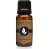 Snickerdoodle Premium Grade Fragrance Oil - 10ml - Scented Oil