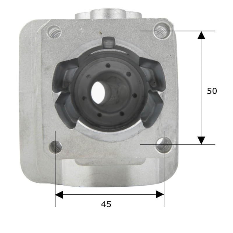 cylingcolors Cylinder + Piston + Segment Compatible with Brush Cutter