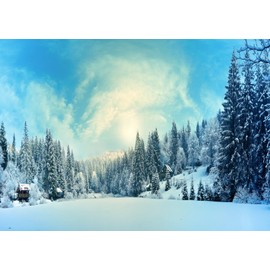 Loccor 9x6ft Fabric Winter Forest Scene Backdrop for Photography Snow Cover Xmas Tree Forest Ice World Background for Winter Xmas Party Decoration Photoshoot Props