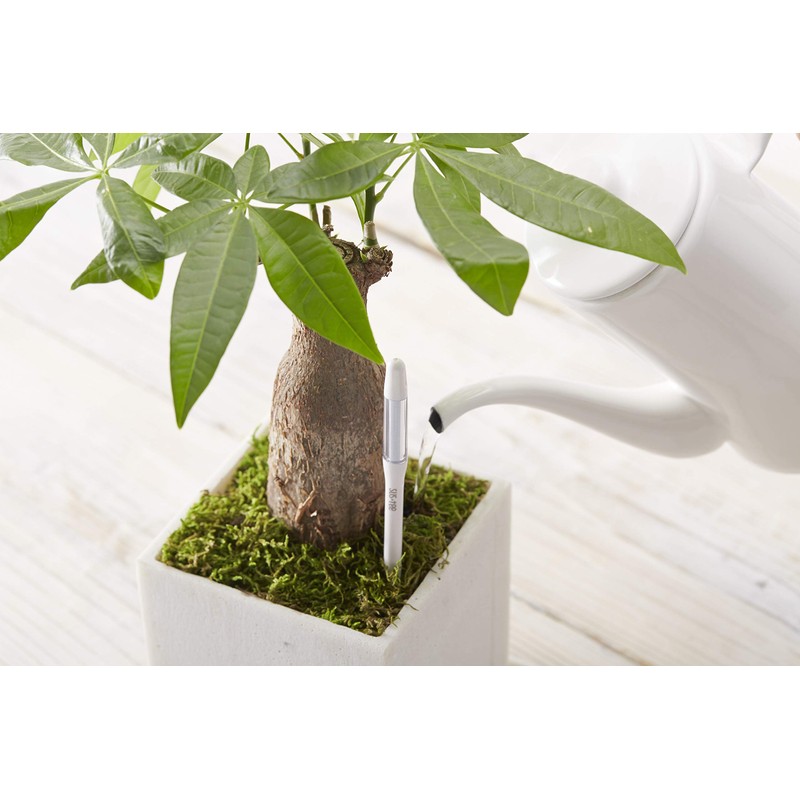 Cabinotier SUSTEE Watering Checker, white