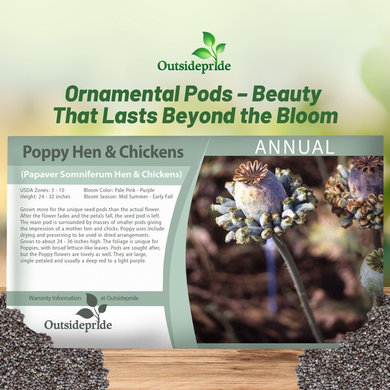 Outsidepride Hen & Chickens Poppy Seeds for Planting - 10,000