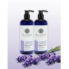 Mill Creek Lavender Lotion (Natural & Organic!) (2 Pack)