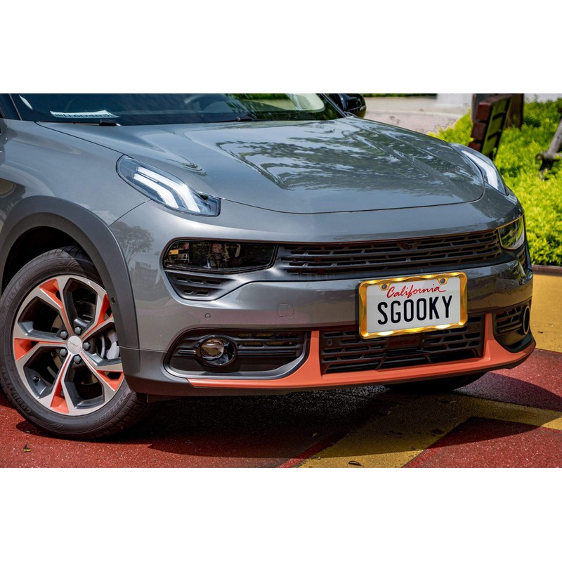Sgooky 3D Curly Wave Pattern License Plate Holder Chrome License