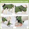 QUEARN 2 Packs Breathable Cotton Dog Recovery Suit for After