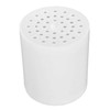 Original StoneStream® EcoPower Shower Head System — Replacement Hard Water