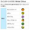 Winter Citrus 100ml Aroma Blend Incent Essential Oil 100ml