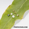 PIERCINGLINE Titanium Screw Attachment with External Thread 0.9 mm Crystal