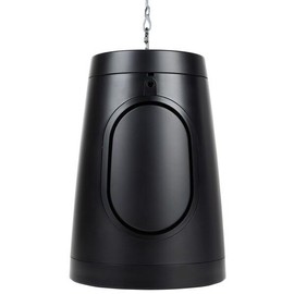 Dayton Audio 6-1/2" Pendant/Landscape Speaker 70V/100V/8 Ohm Black WP60XTB