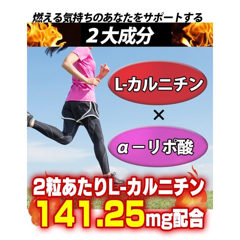 L-カルニチン×α-リポ酸 ダブル配合 60粒 5袋セット計300粒 約5ヶ月分 2粒あたり Lカルニチン 141.25mg配合