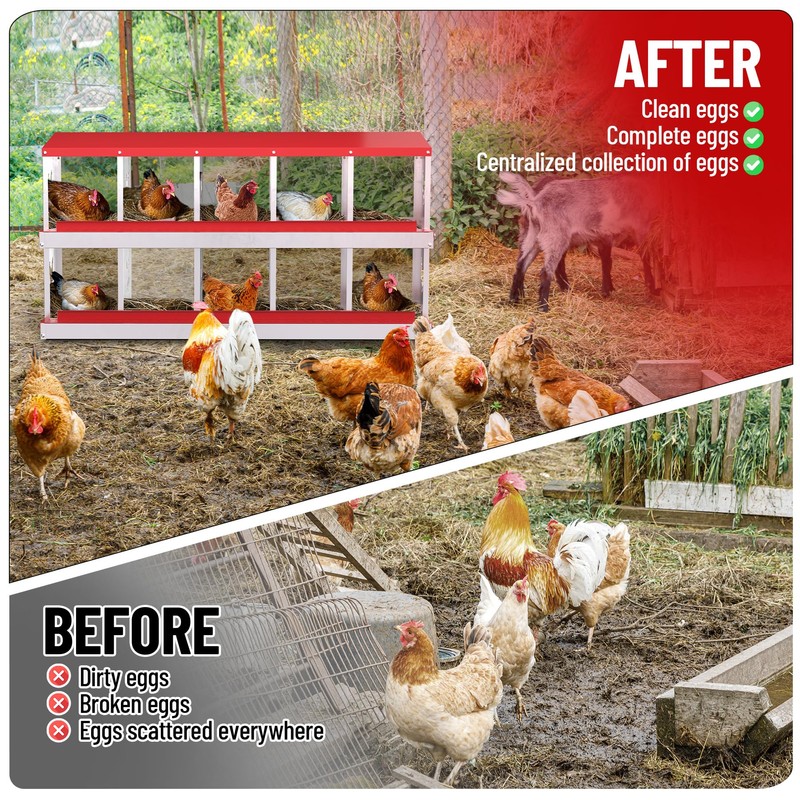 Chicken Nesting Box, 10 Compartment Metal Chicken Nesting Boxes for
