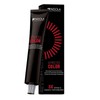Indola Xpress Colour 6.03-60 ml