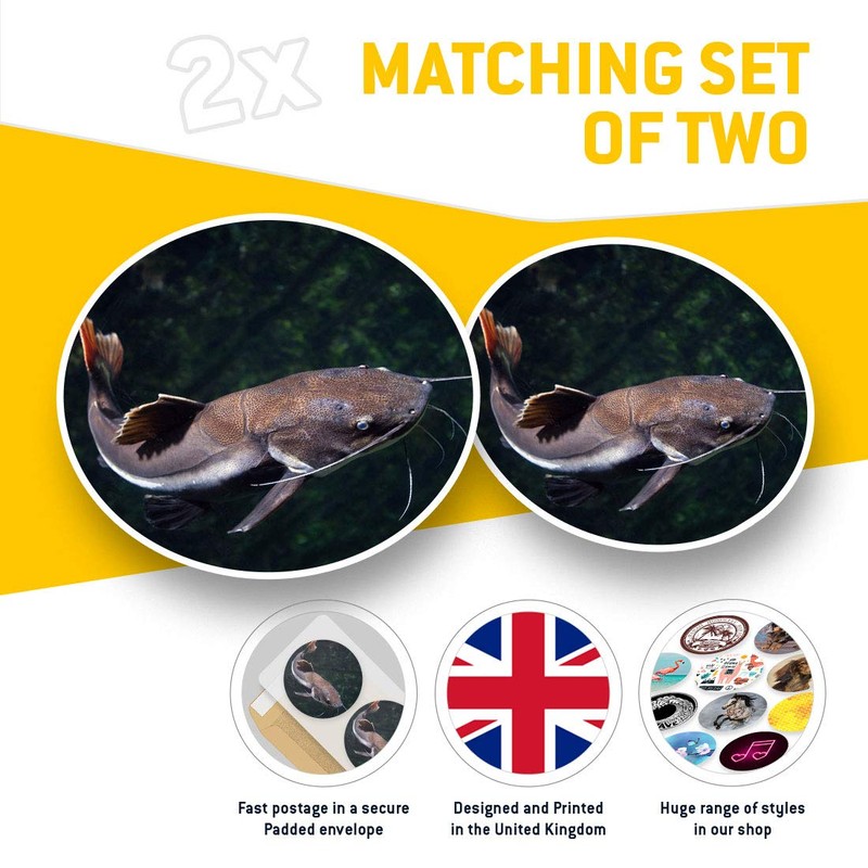 2 x 30cmVinyl Stickers - Redtail Catfish Fish Fishing Pond