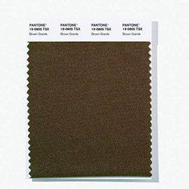 Polyester Standards Swatch Card - Brown Granite (19-0805 TSX)