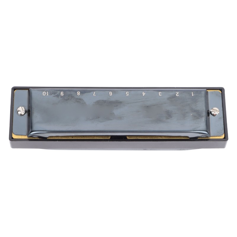 Black Harmonica C Key 10 Hole Blue Harp Stainless Steel