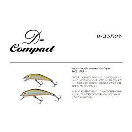 SMITH LTD D-Compact 45#21 WS Indicator