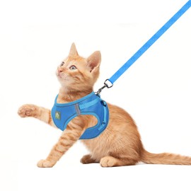 FEimaX Dog Harness and Leash Set, No Pull Breathable Soft Mesh Puppy Vest Harness Reflective Adjustable Pet Harnesses for Small Medium Dogs and Cats - Outdoor Easy Control for Walking