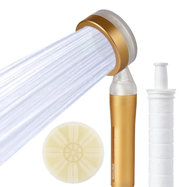 Barumi Pluo Handheld Filtered Shower Head - Gold | Vitamin