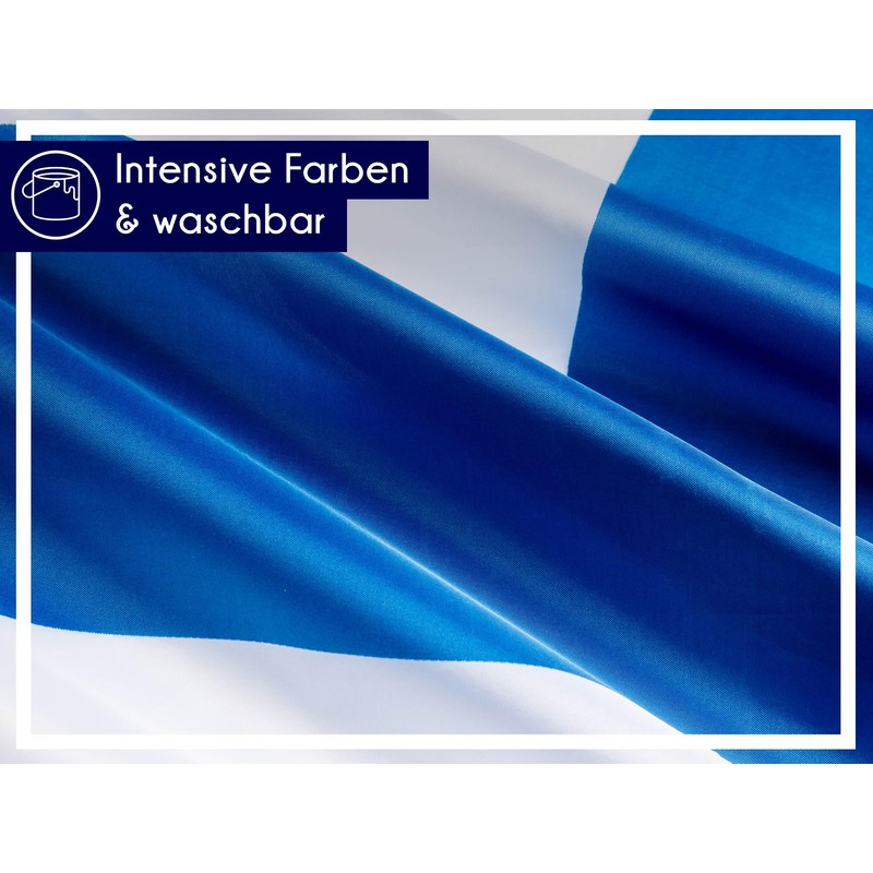 PHENO FLAGS Finland Flag - Finland Flag 90 x 150