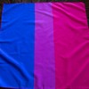 Bandana Bisexual Bi Pride