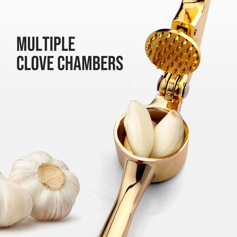 Drincarier Premium Garlic Press, Professional Garlic Mincer, Easy to Squeeze