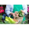 Miracle-Gro 0754210 RTU24 Nature's Care Garden Insect Control