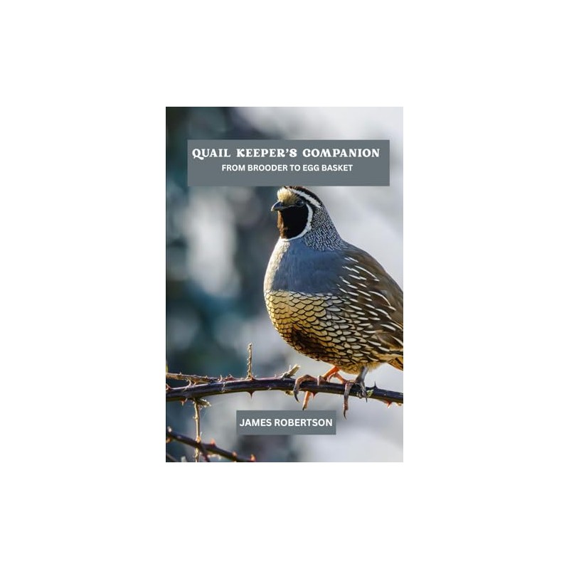 Quail keeper's companion: From brooder to egg basket