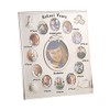 Elegance 63502 School Years Photo Frame Silver, Multi Color