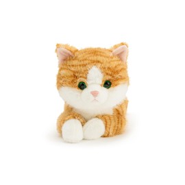 Wanwu World Cat Stuffed Animal Premium stuffed cat for Ages 1 and Up Orange 13.5 Inche