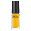 NAIL HOLIC(ネイルホリック) ネイルホリック YE503 Nail Polish, 0.1 fl oz (5