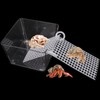 Dexspoeny Transparent Hermit Crab Water Tanks with Mesh Climbing Ramp