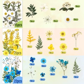 223 Pieces Real Dried Flowers Leaves and Butterfly Stickers Set, Multiple Pressed Dry Flowers Colorful Natural Daisies Flowers and Adhesive Butterfly Decals for DIY Resin Jewelry Nail Crafts