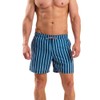 RIPT Men's Quick Dry UV 50 Sun Protection Swimming Trunks,