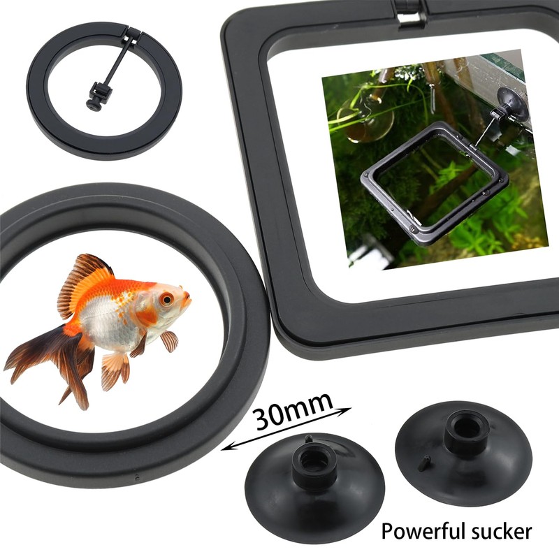 DGZZI 2PCS Aquarium Fish Floating Feeder Fish Feeder Ring Black