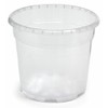 Floralo Flower Pot, Orchid Pot Diameter 10 cm, Transparent, 10