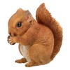 Figuren Shop GmbH Garden Squirrel Figurine - Weatherproof & Hand-Painted