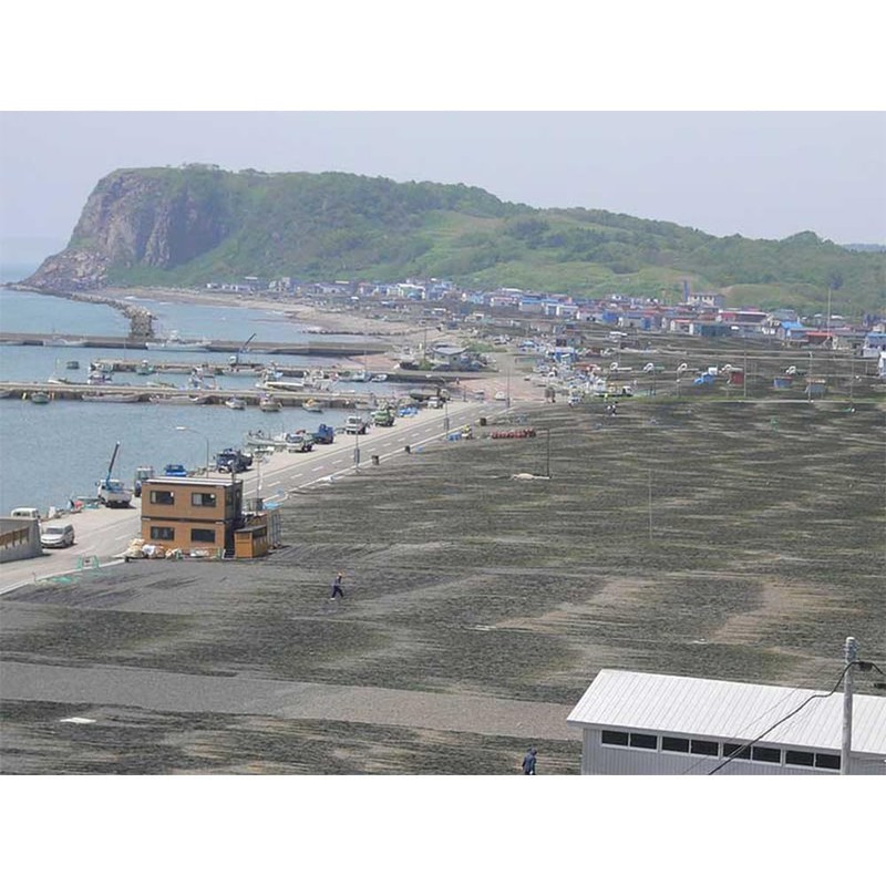 Matsumoto Pacifier Kelp 0.6 oz (18 g) x 5 Bags