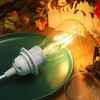 6 Pack Plug in Hanging Light Kit for Christmas E26/e27