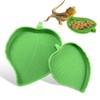 Hi.FANCY Leaf-Shaped Plastic Reptile Feeding Dish, 2 Sizes, Easy to