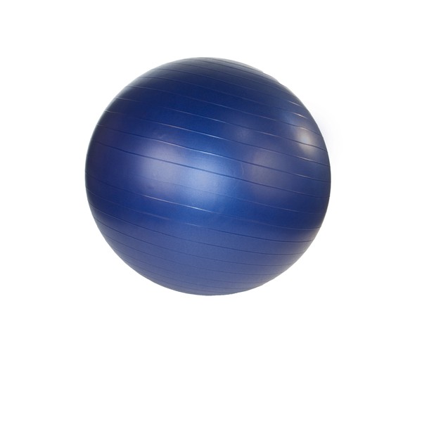 JFIT Anti-Burst Gym Ball, 65cm, Purple