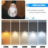 winsaLED 4000K Cool White LED Edison Bulbs 25W Equivalent, Low
