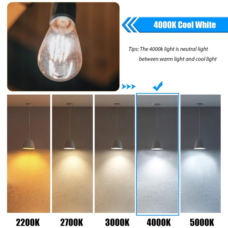 winsaLED 4000K Cool White LED Edison Bulbs 25W Equivalent, Low