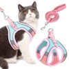 Eyein Cat Harness and Lead Set for Walking, Adjustable Soft