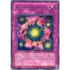 Yu-Gi-Oh! - Deck Devastation Virus (CP05-EN009) - Champion Pack Game