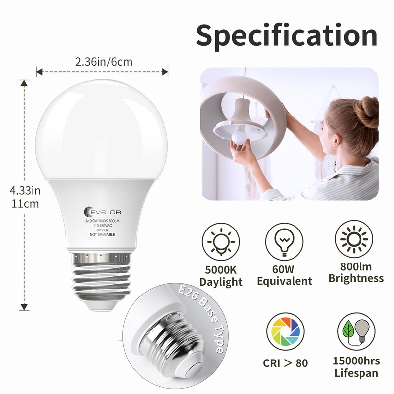 evelor A19 LED Light Bulbs,60 Watt Equivalent Daylight 5000K with