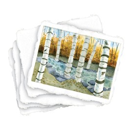 Shizen Design Punjab Watercolor Paper, 12 x 18 Inches, 140 lb, White, 25 Sheets