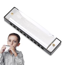 Kids Harmonica,Harmonicas in C Diatonic 10 Holes 20 Tunes,for Adults,Mouth Organ Metal Key,Stainless Steel Mini Harp,Key of Thanksgiving Back to School Gift for Beginners and Performers,Silver